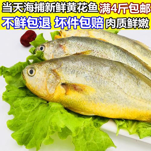 黄花鱼新鲜小黄鱼活体鲜活海鱼生鲜鱼类青岛海鲜水产品满4斤包邮