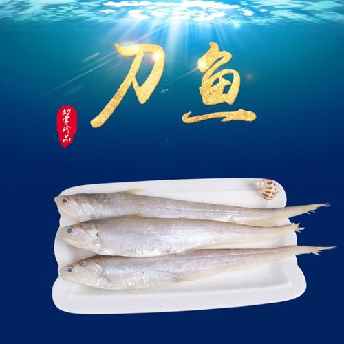 【鲜活水产品】黄河刀鱼 新鲜水产品 鲜活刀鱼 山东特产 厂家直销